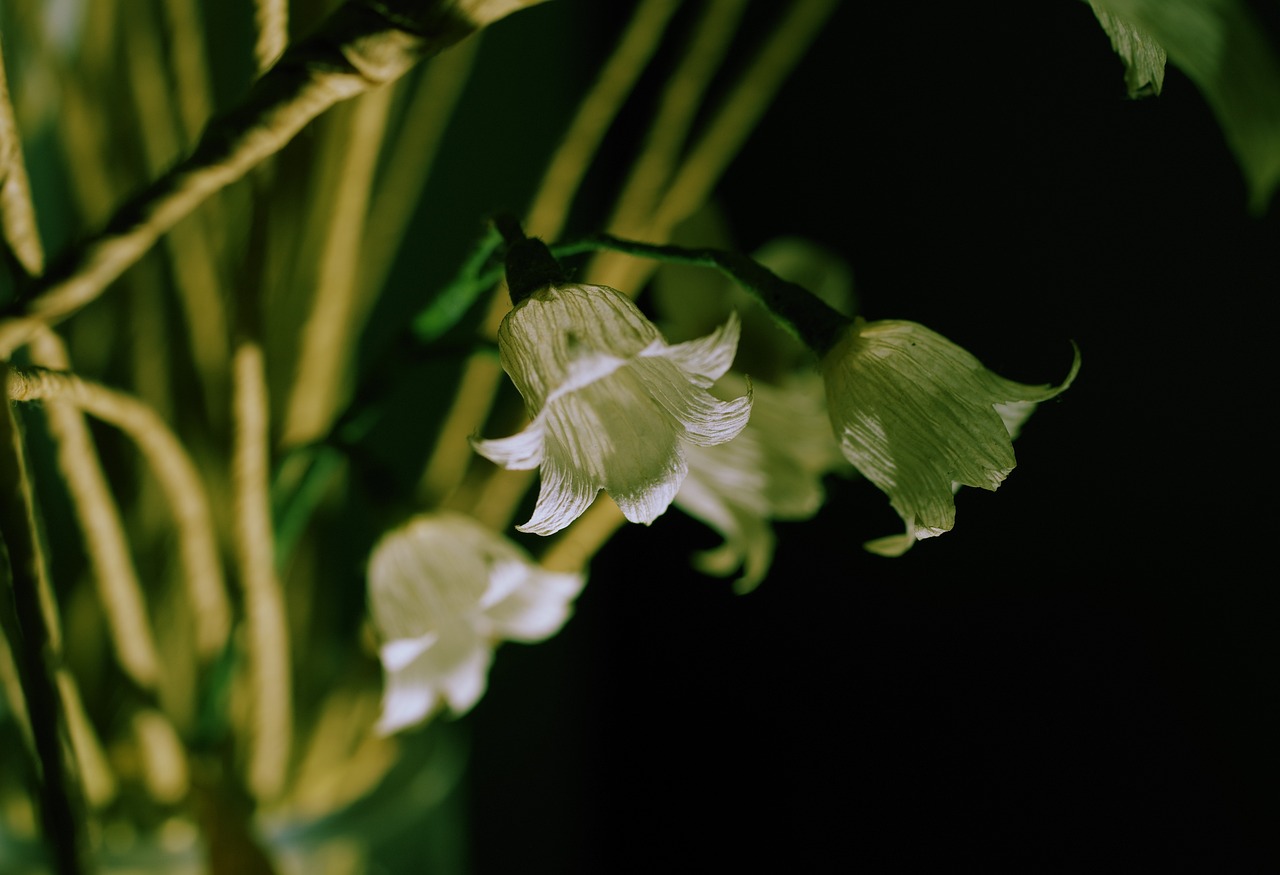 How to Make Your Own Decorative Paper Flowers